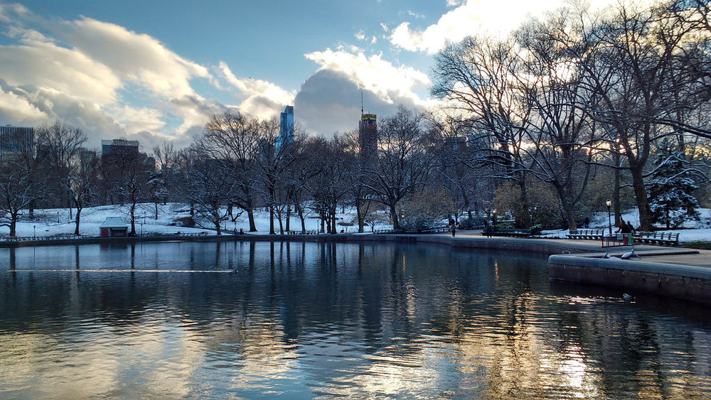 New York, Central Park, March 2017